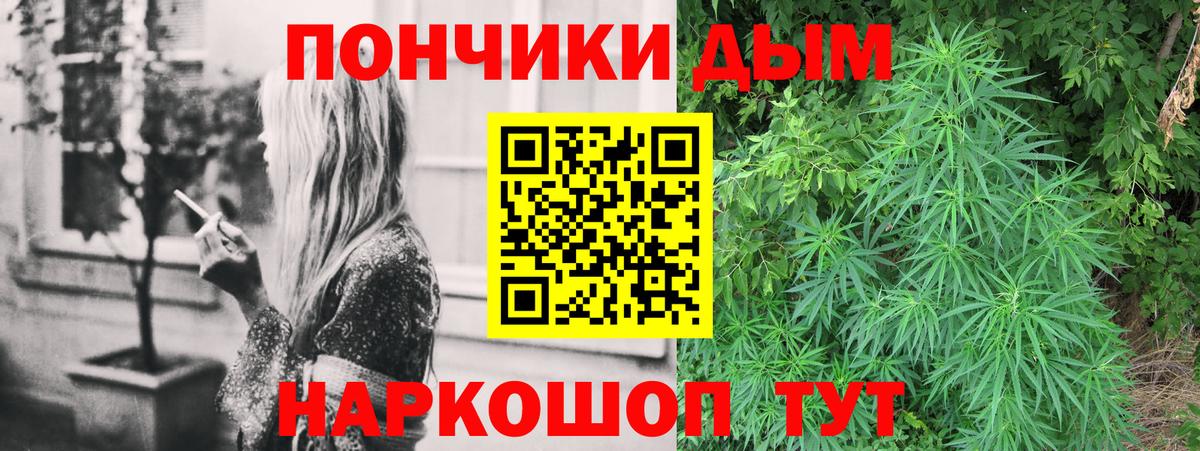 Каннабис план  Бошки Шишки OG Kush  Тосно  Вход с VPN  МАРИХУАНА Ganja  Каннабис семена 